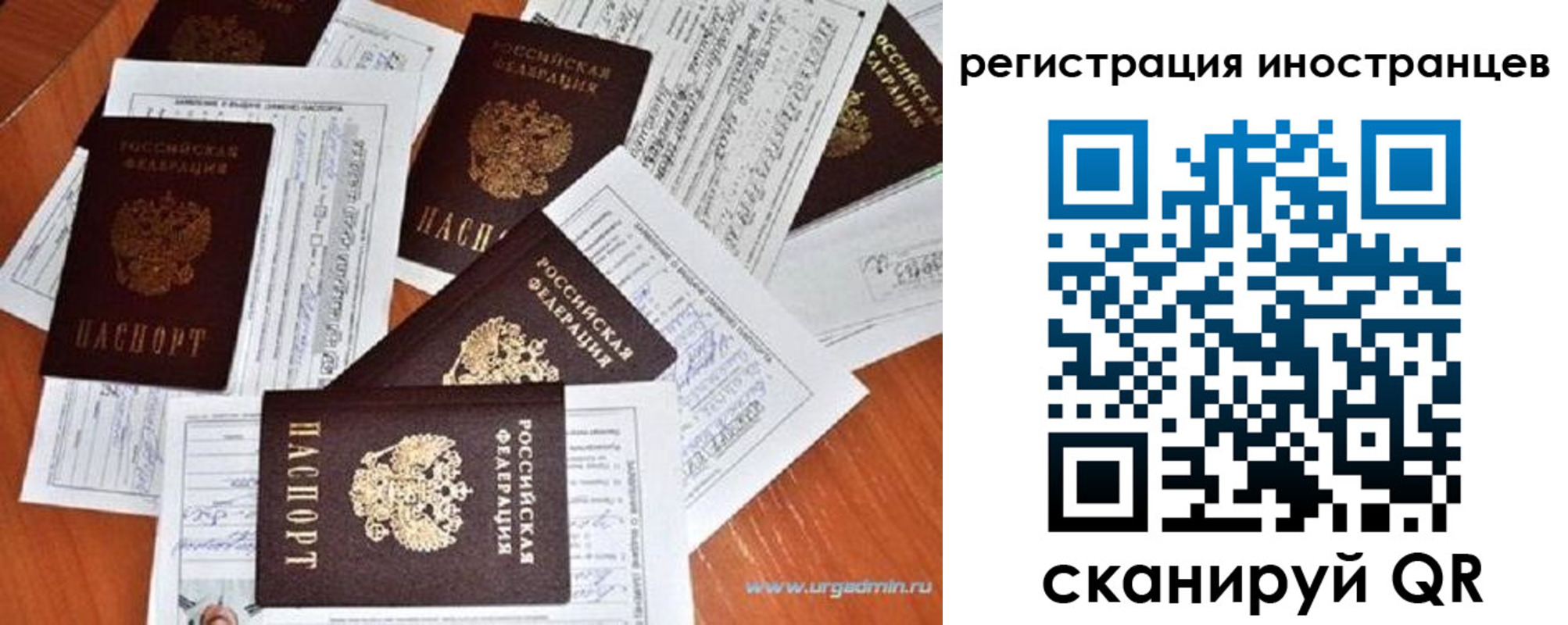 временная регистрация гарантия в Касимове